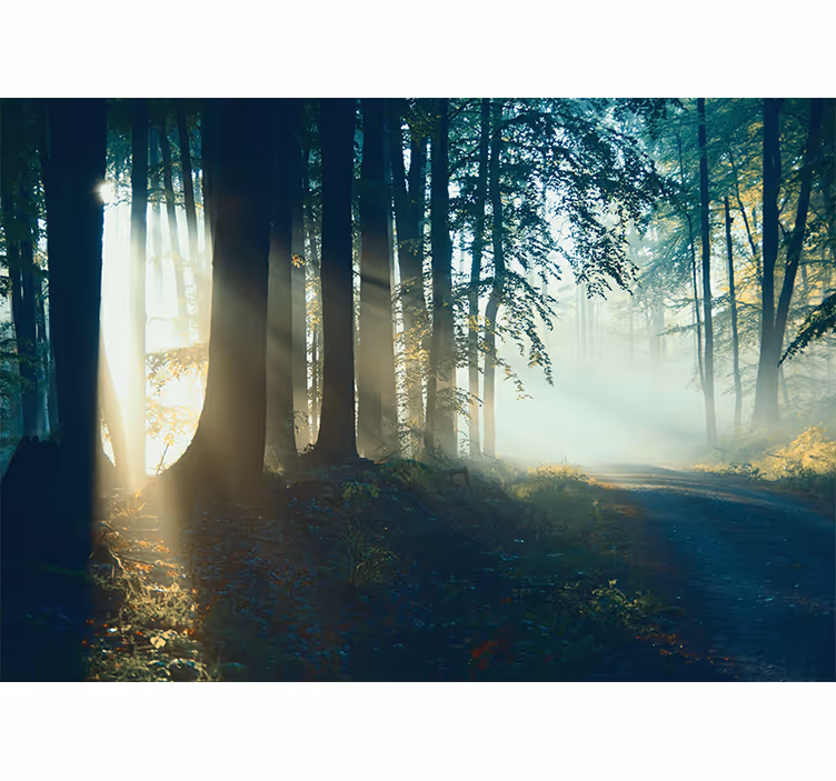 Store enrouleur bureau forêt d'hiver sans feuilles - TenStickers