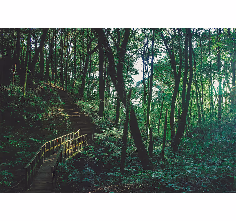 Store enrouleur bureau paysage d'arbres verts - TenStickers