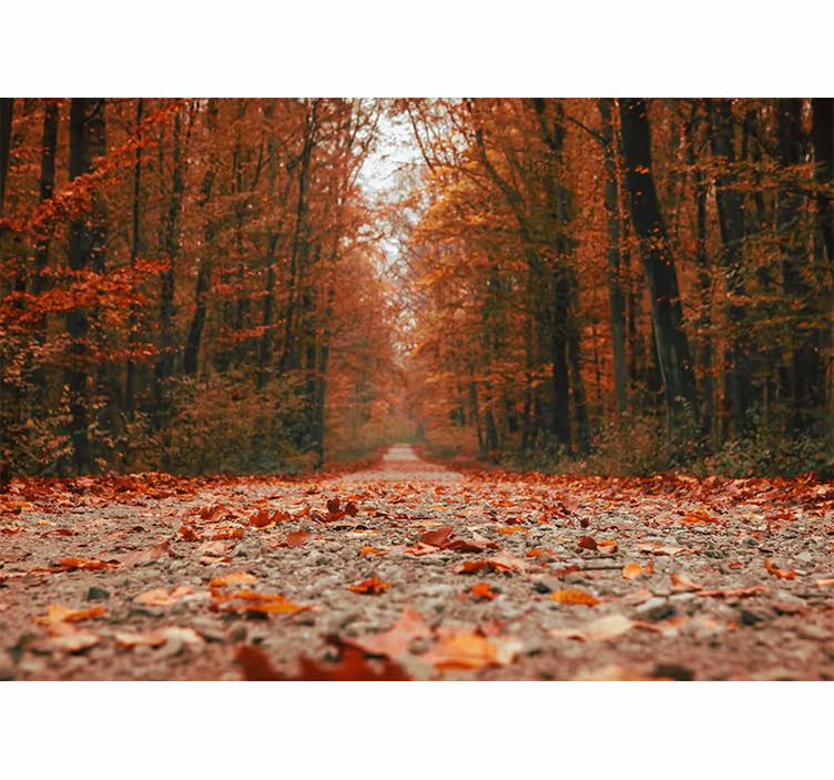 Store enrouleur bureau feuilles d'automne colorées - TenStickers