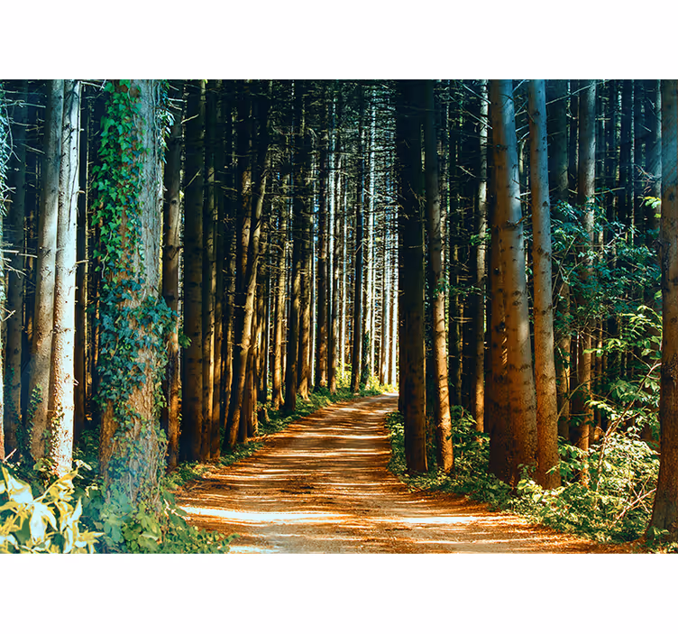 Store enrouleur bureau chemin naturel arbre portail - TenStickers