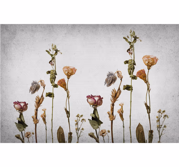 Store enrouleur bureau style scandinave plantes sèches - TenStickers