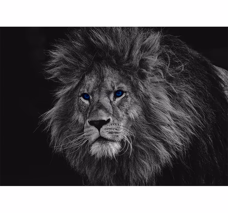Store enrouleur gris lion aux yeux bleus - TenStickers
