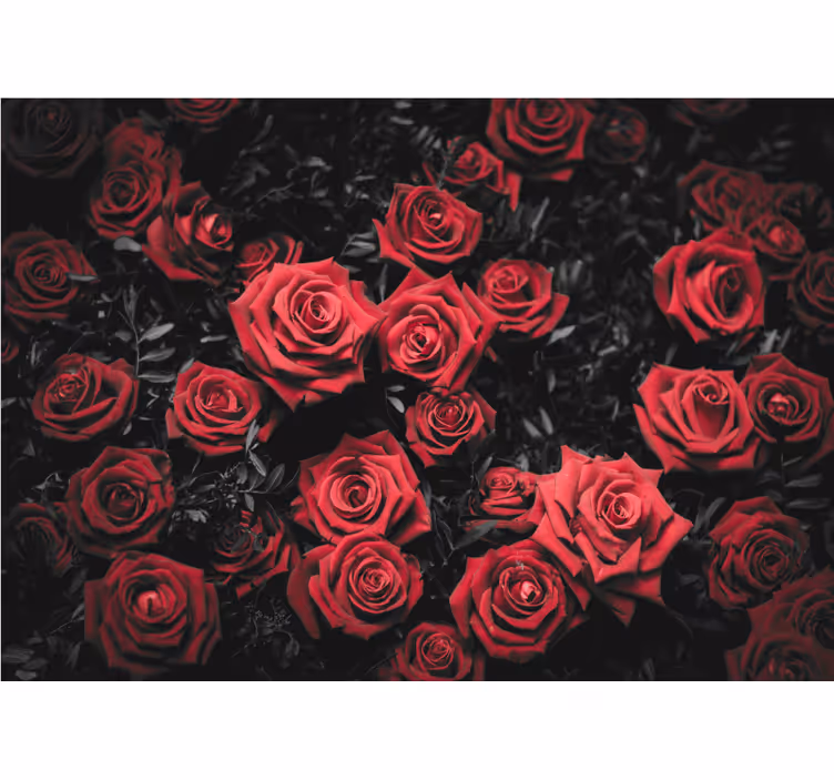 Store enrouleur chambre noir et blanc roses rouges - TenStickers