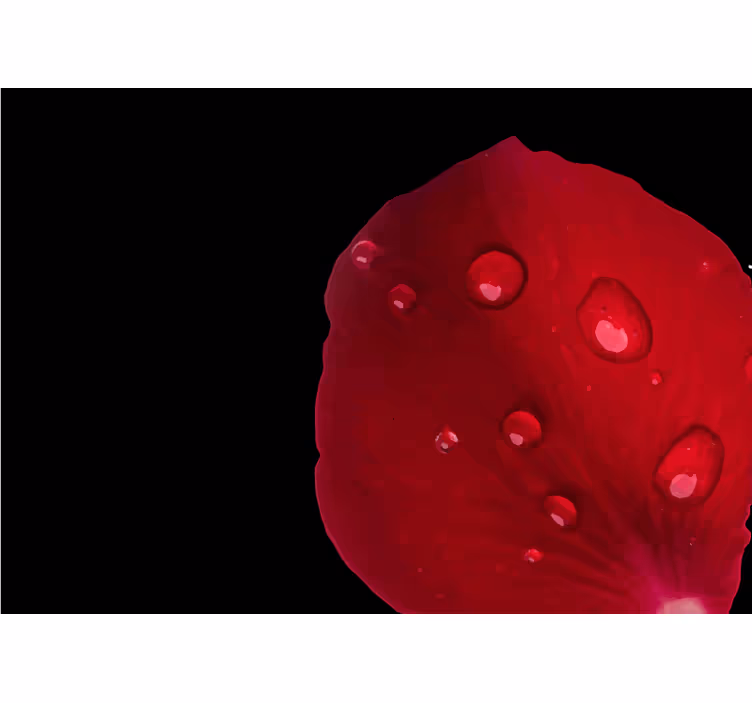 Store enrouleur chambre motif roses rouges avec gouttes - TenStickers