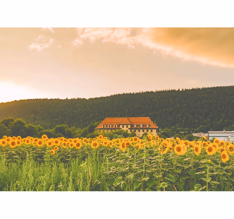 Store enrouleur chambre champ magnifique de fleurs jaunes - TenStickers