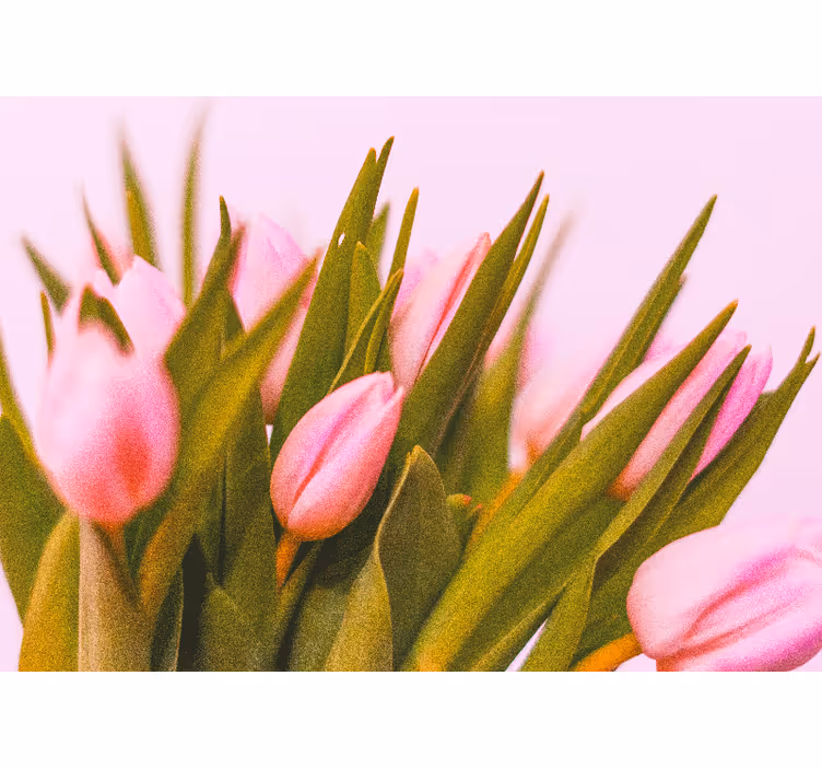 Store enrouleur chambre tulipes sur fond rose - TenStickers