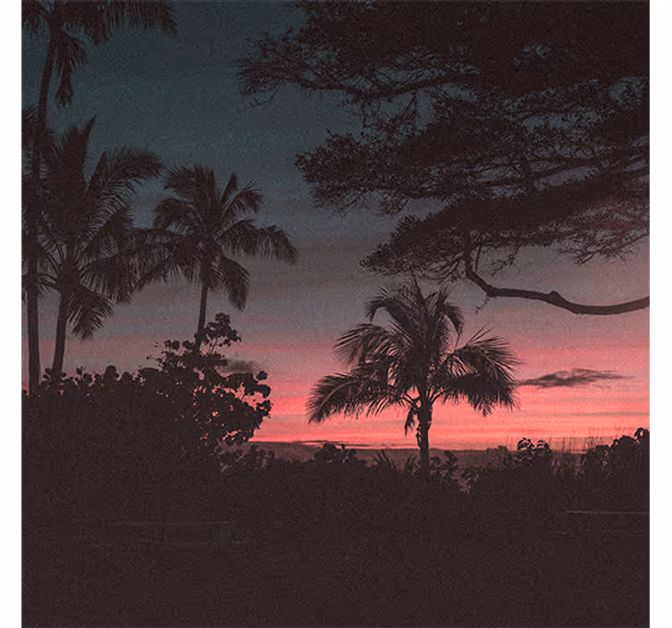 Store enrouleur bureau arbres ciel rose coucher de soleil - TenStickers