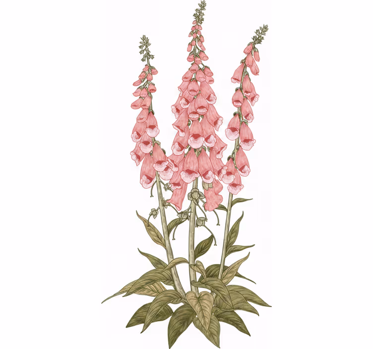 Store enrouleur bureau fleurs roses - TenStickers