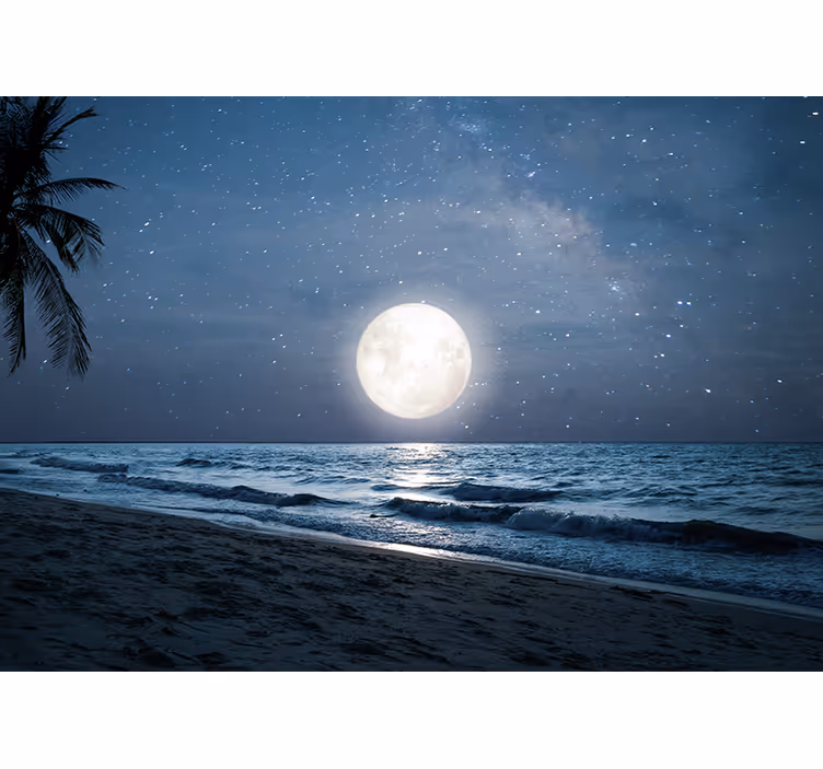 Store enrouleur chambre clair de lune sur océan - TenStickers