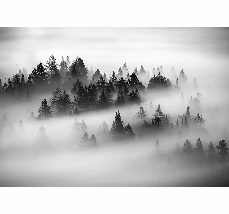 Store enrouleur chambre forêt enchantée - TenStickers