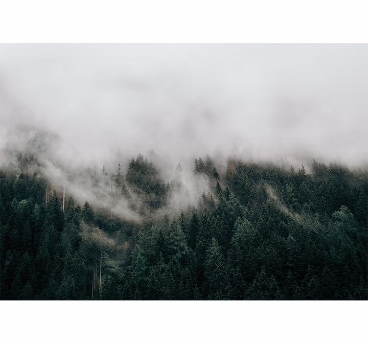 Store enrouleur chambre nuages brumeux de forêt - TenStickers
