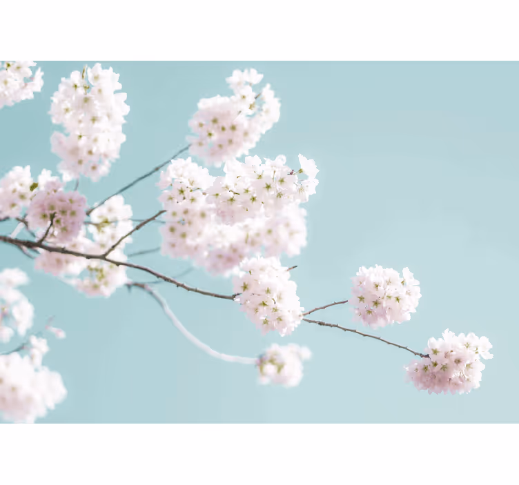 Store enrouleur blanc design floral élégant et féminin - TenStickers