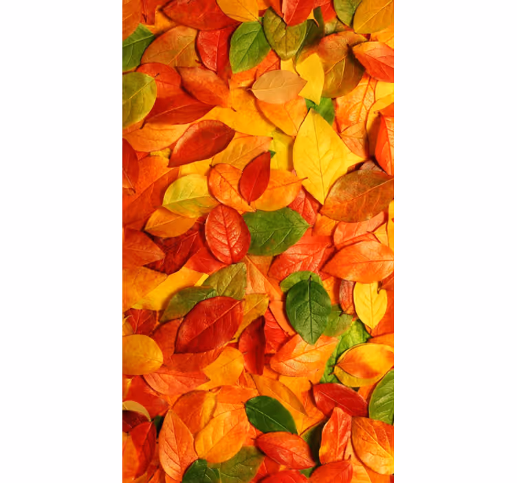 Store enrouleur cuisine feuilles de sol automne - TenStickers