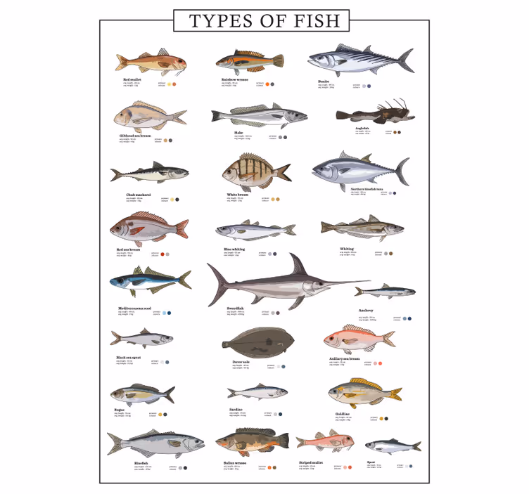 Store enrouleur cuisine poissons décoratifs - TenStickers