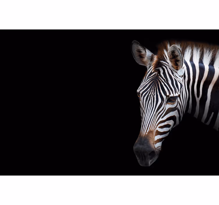 Store enrouleur noir image de zèbre - TenStickers