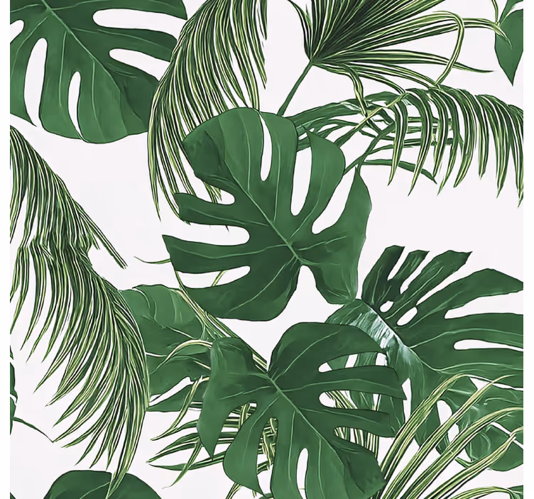 Store enrouleur extérieur design feuilles tropicales - TenStickers