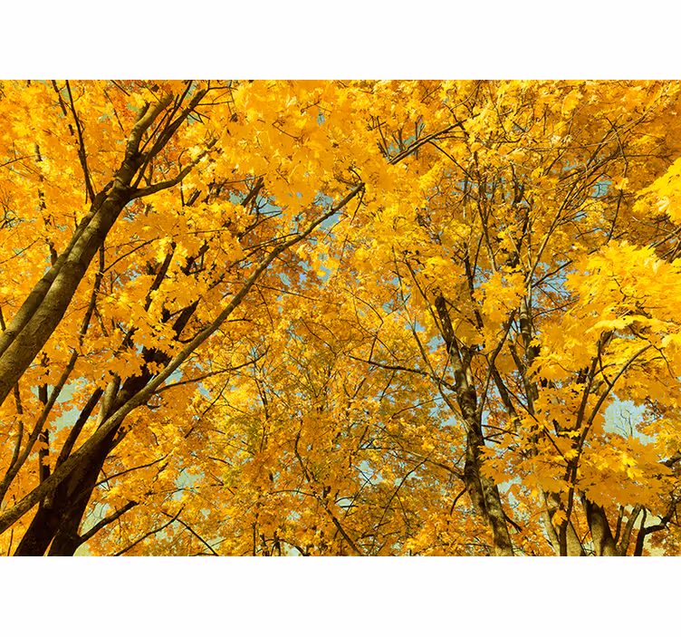 Store enrouleur chambre feuilles d'automne jaunes - TenStickers