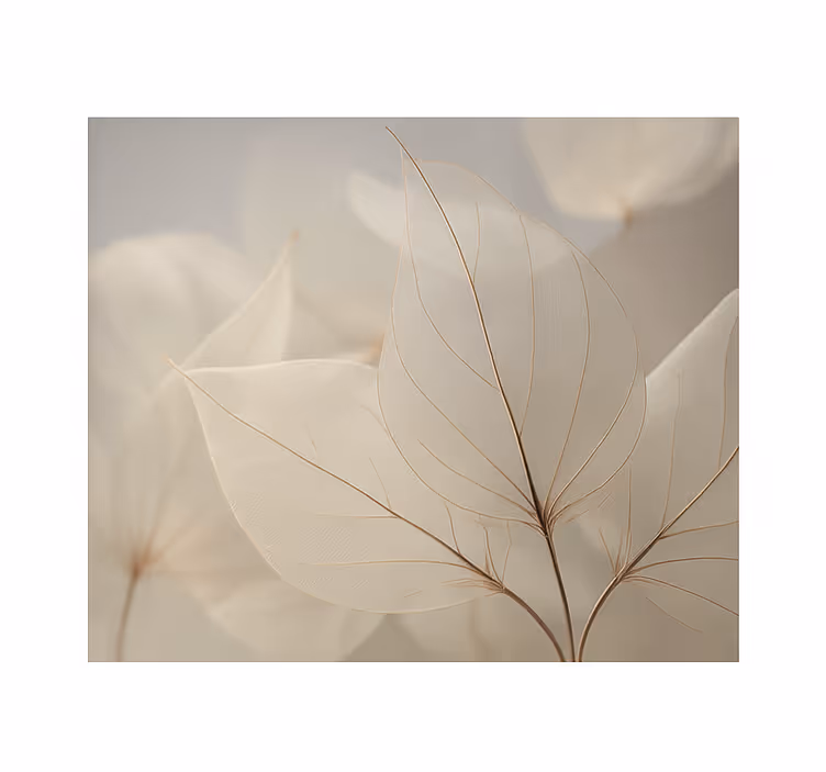 Store enrouleur bureau feuilles squelettiques blanches - TenStickers