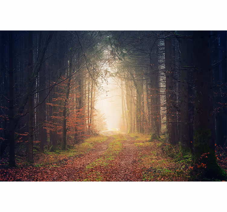 Store enrouleur bureau chemin d'automne - TenStickers
