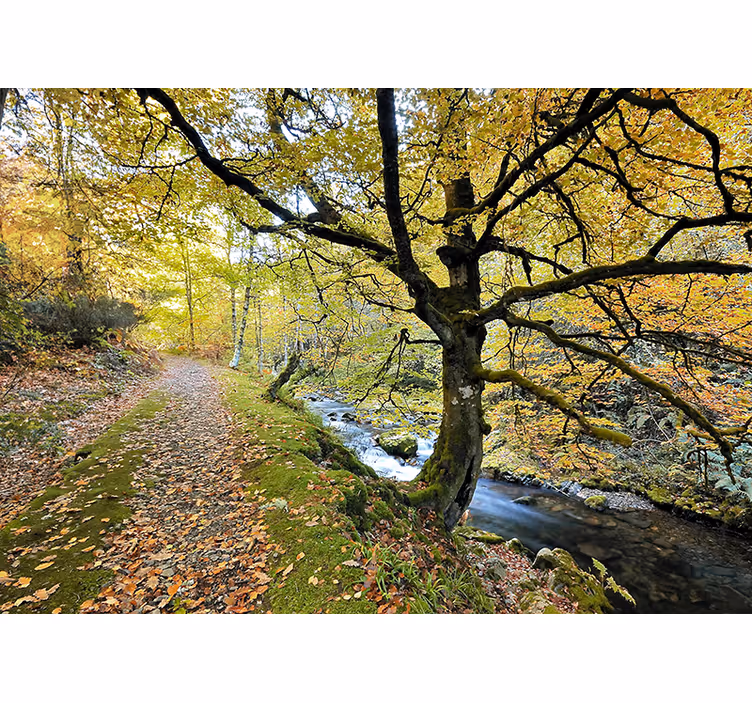 Store enrouleur bureau forêt de muniellos et rivière - TenStickers