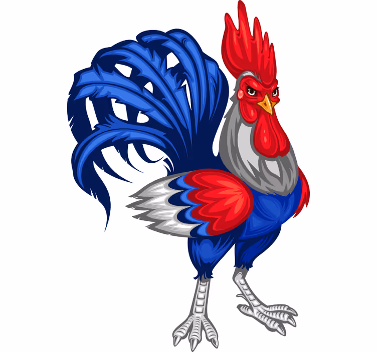 Store enrouleur pour chambre ado gallo français décoratif - TenStickers