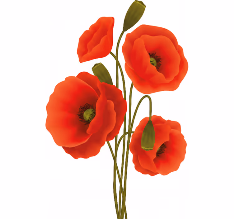 Store enrouleur floral coquelicots - TenStickers