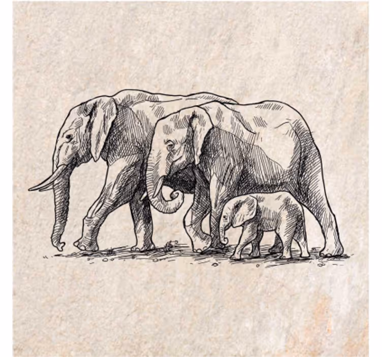 Store enrouleur animaux croquis d'éléphants - TenStickers