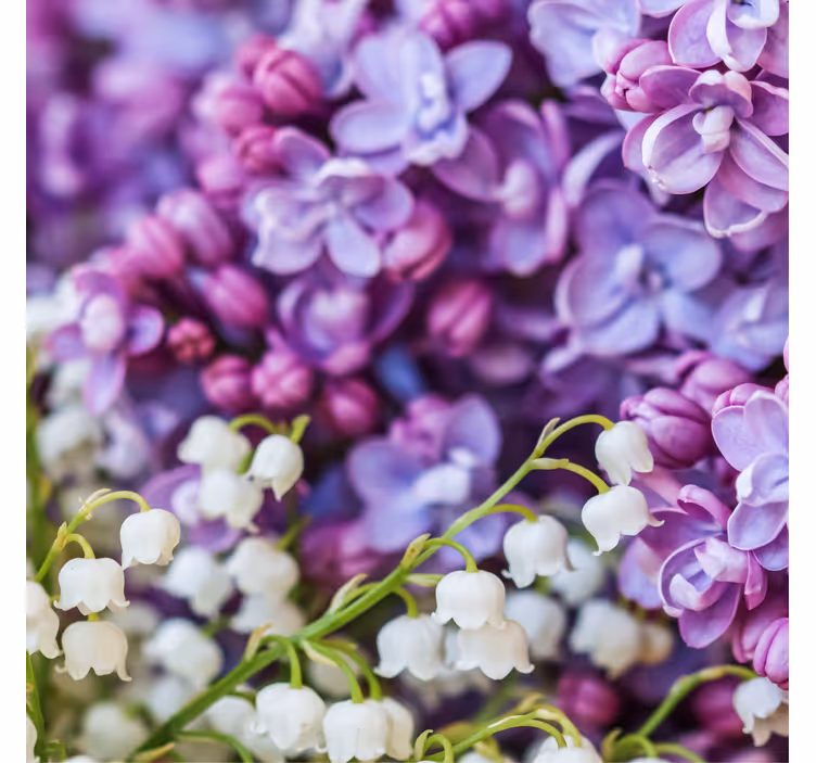 Store enrouleur bureaux fleurs marguerites toute saison - TenStickers