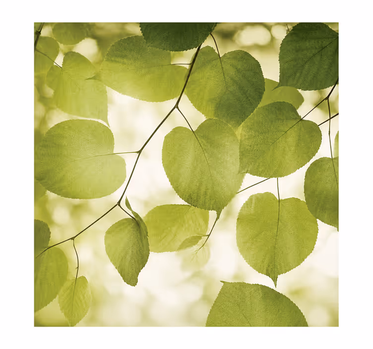 Store enrouleur couple 200 cm feuilles florales - TenStickers
