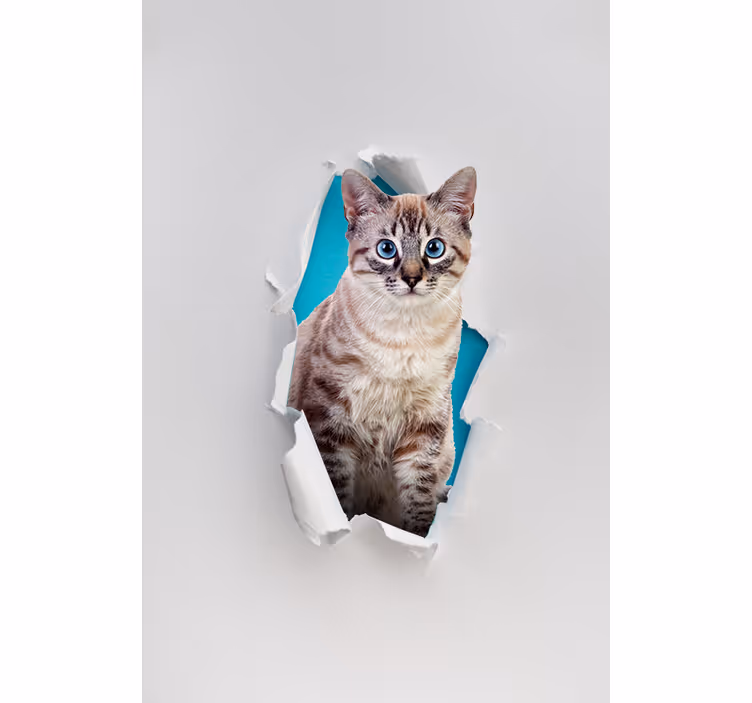 Stores avec plus d'animaux Chat - TenStickers
