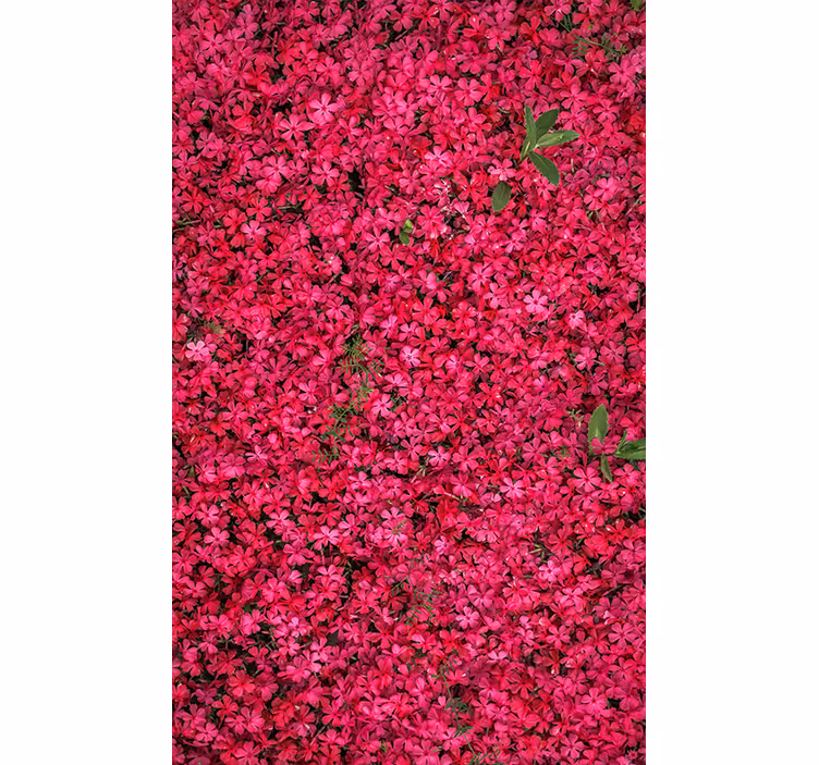 Stores enrouleurs fleurs et plantes abondance vibrante - TenStickers