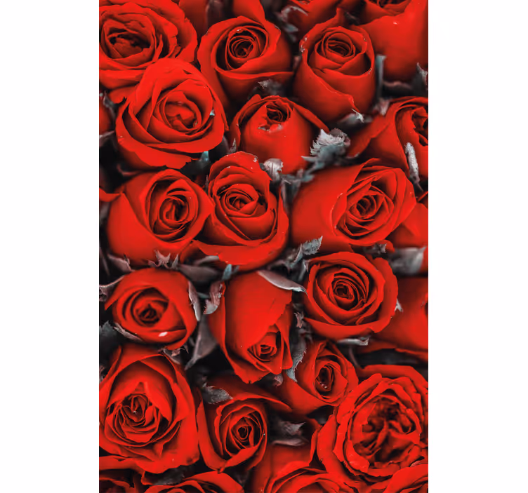 Store enrouleur cuisine fleurs Roses rouges romantiques - TenStickers