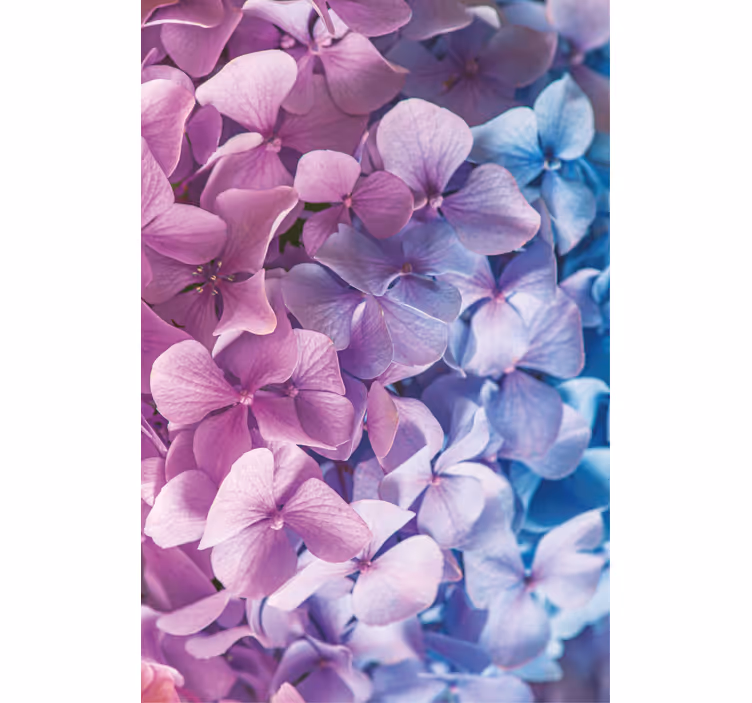 Stores enrouleurs fleurs et plantes bouquet d'hortensias - TenStickers