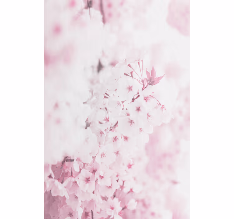 Stores enrouleurs fleurs et plantes fleurs roses délicates - TenStickers