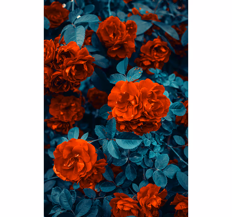 Stores enrouleurs fleurs et plantes roses éclatantes - TenStickers
