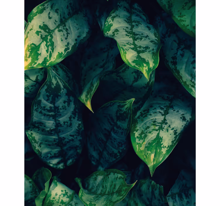 Stores enrouleurs fleurs et plantes feuillage vibrant - TenStickers