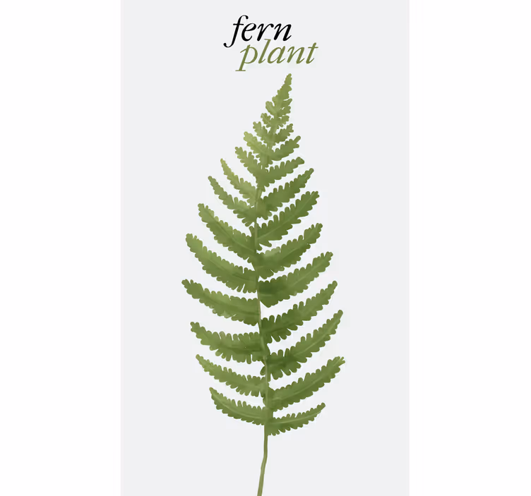 Stores enrouleurs fleurs et plantes plante verte fougère - TenStickers