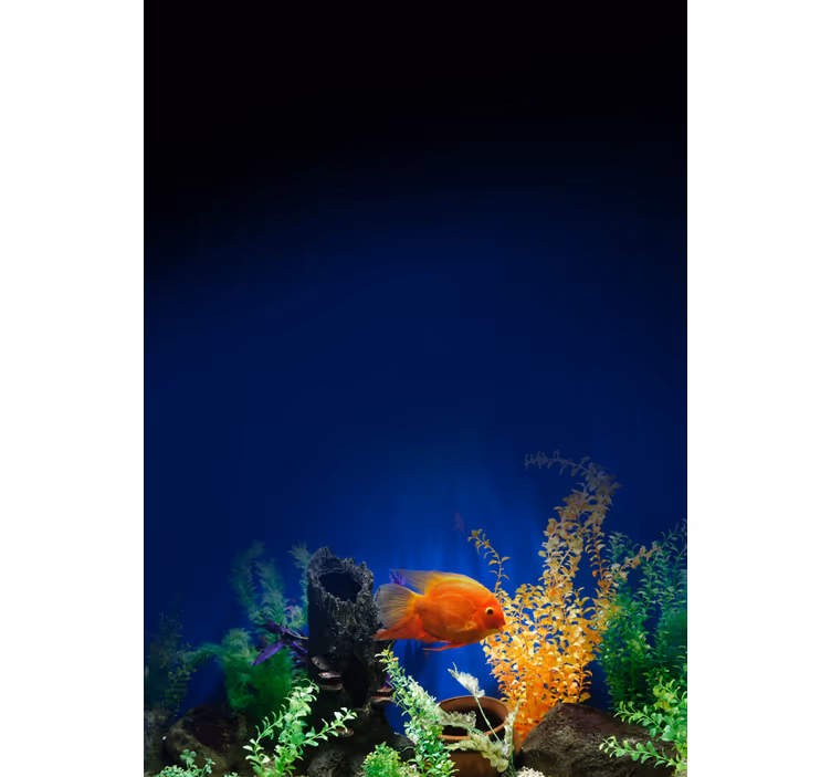 Store enrouleur salle de bain vie d'aquarium - TenStickers