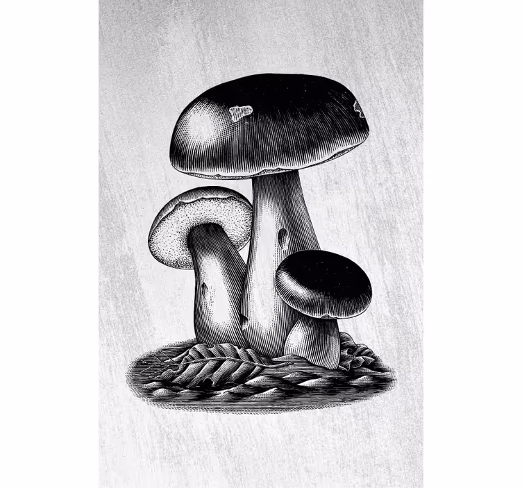 Stores enrouleurs fleurs et plantes Élégance champignon - TenStickers