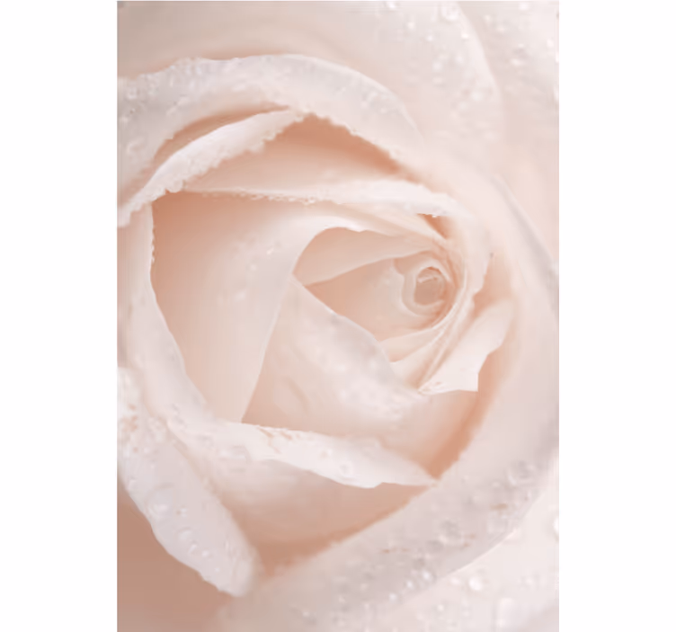 Store enrouleur motif fleur pétale de rose délicat - TenStickers