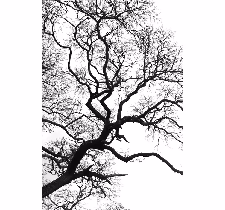 Stores arbre d'hiver sombre vu par la fenêtre - TenStickers