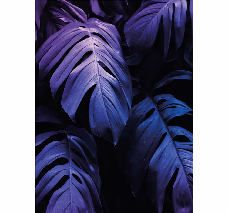 Stores enrouleurs fleurs et plantes monstera deliciosa - TenStickers