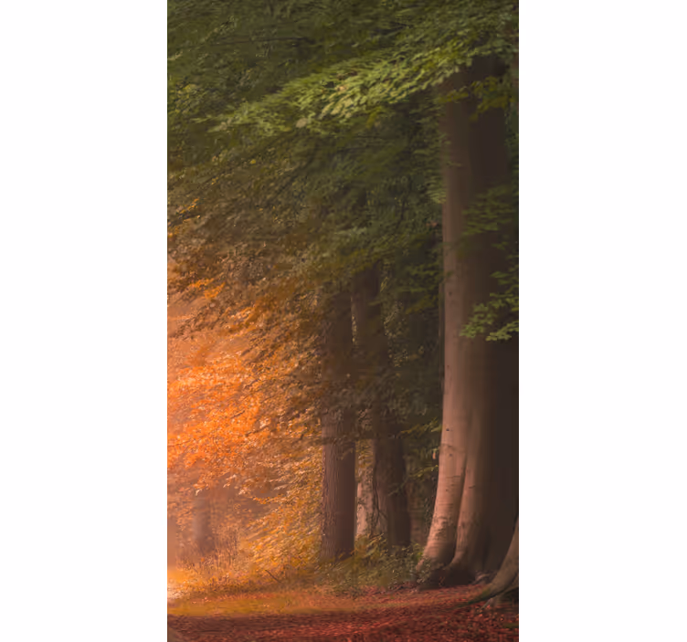 store original prodigieuse forêt fantastique - TenStickers