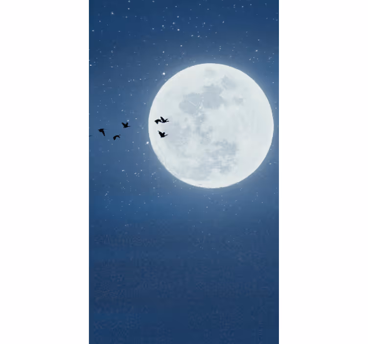 store original Lune pleine et ciel - TenStickers
