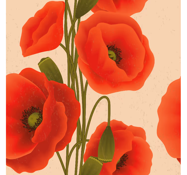 Store fleurs et plantes coquelicots rouges - TenStickers