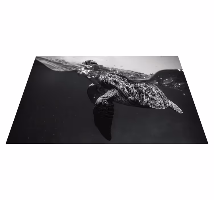 Set de table design bois scène sous-marine tortue - TenStickers