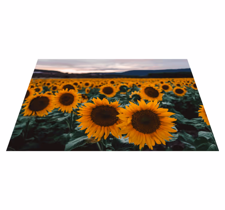 Set de table design elegant Champ de tournesol - TenStickers
