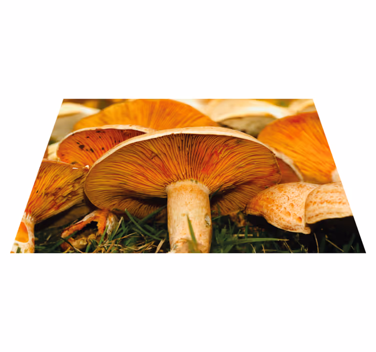 Set de table original champignons avec ramen - TenStickers