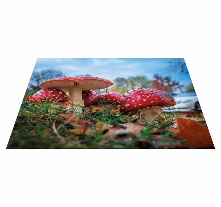 Set de table moderne scène culinaire champignons - TenStickers
