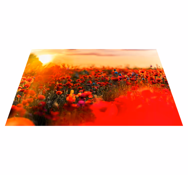 Set de table design bois champ de coquelicots - TenStickers